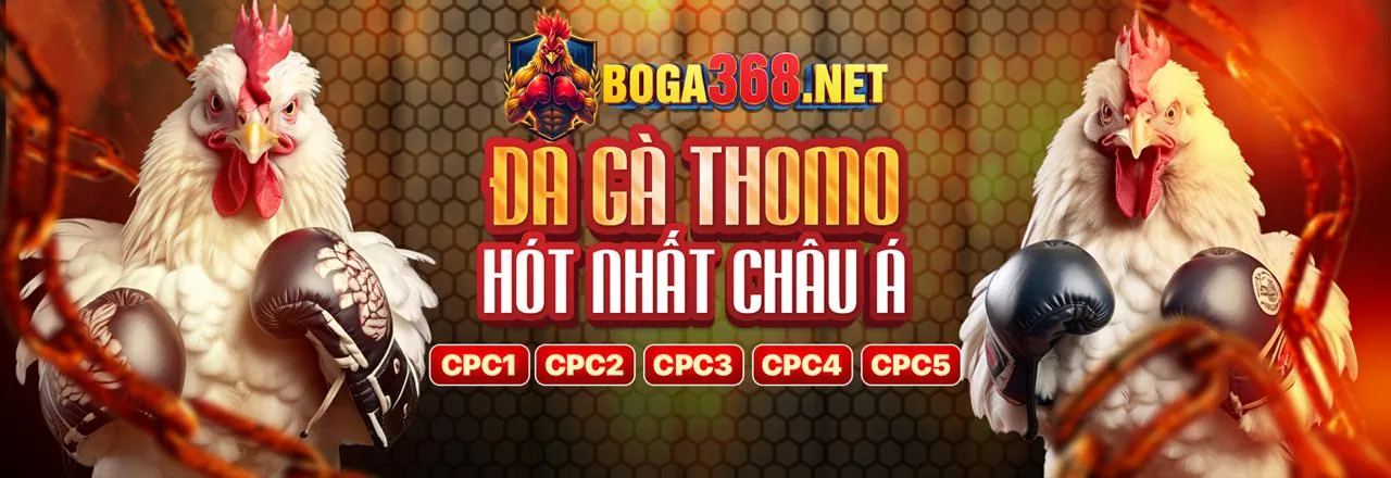 Tổng quan các loại khuyến mãi M33WIN