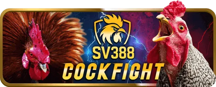 Cá cược đá gà m33win